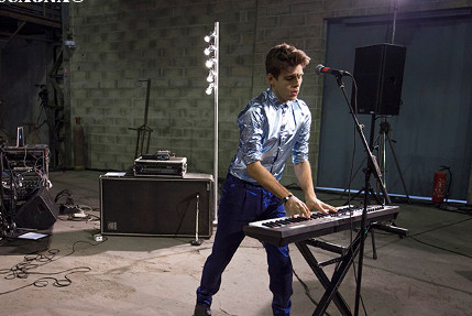 the wombats